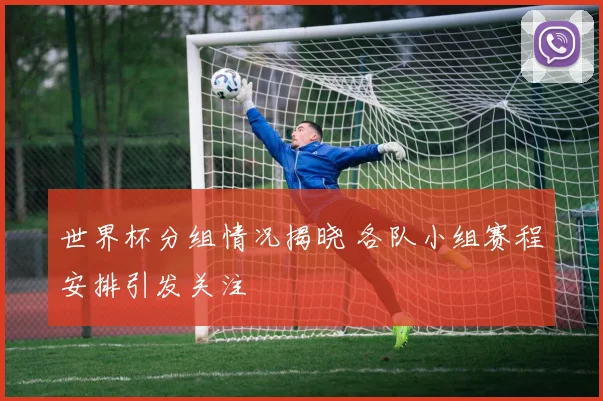 世界杯分组情况揭晓 各队小组赛程安排引发关注